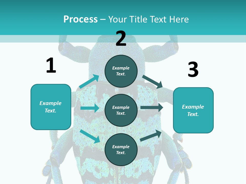 New Guinea Eupholus Schoenherri Cyan PowerPoint Template