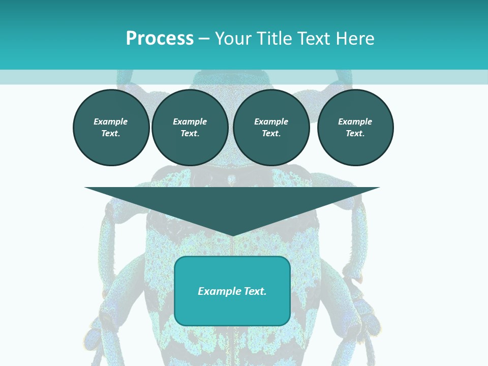 New Guinea Eupholus Schoenherri Cyan PowerPoint Template