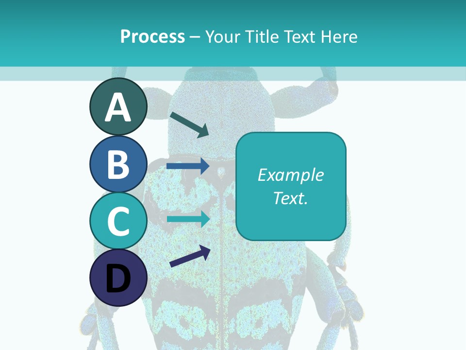 New Guinea Eupholus Schoenherri Cyan PowerPoint Template