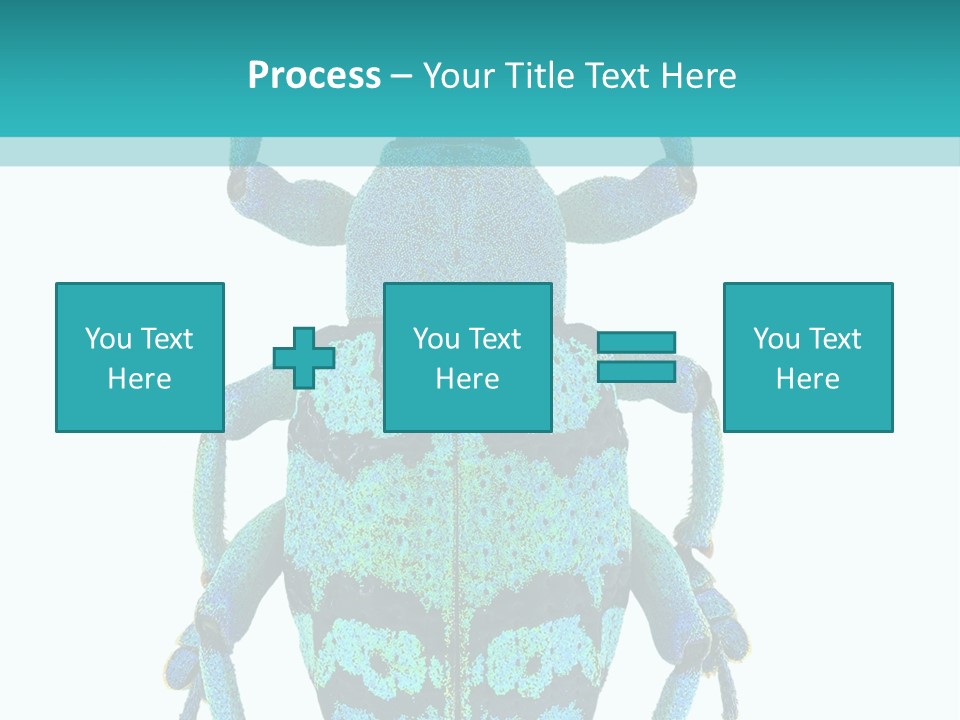 New Guinea Eupholus Schoenherri Cyan PowerPoint Template
