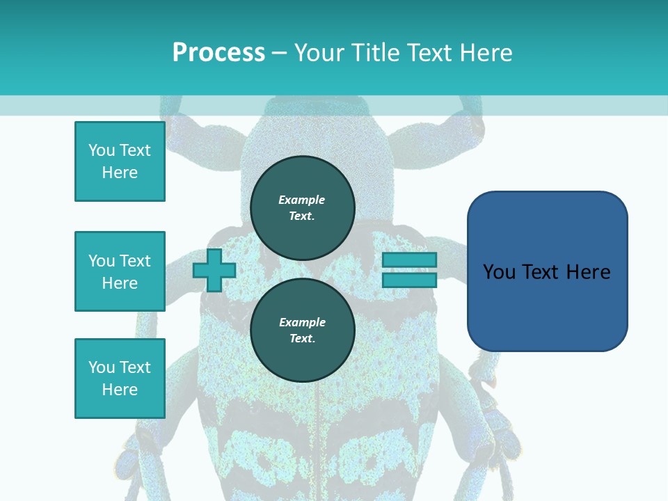 New Guinea Eupholus Schoenherri Cyan PowerPoint Template