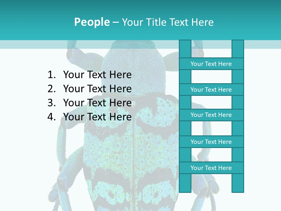 New Guinea Eupholus Schoenherri Cyan PowerPoint Template