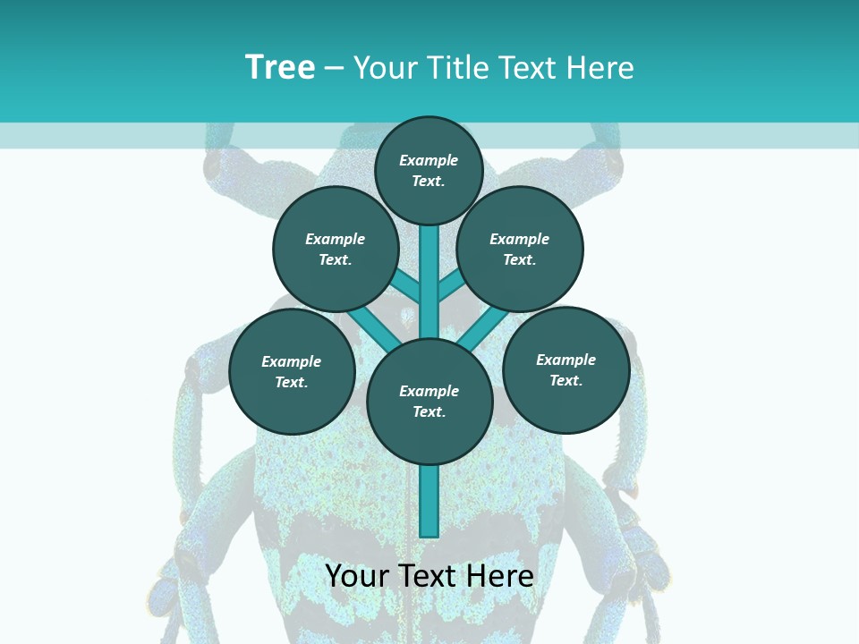 New Guinea Eupholus Schoenherri Cyan PowerPoint Template