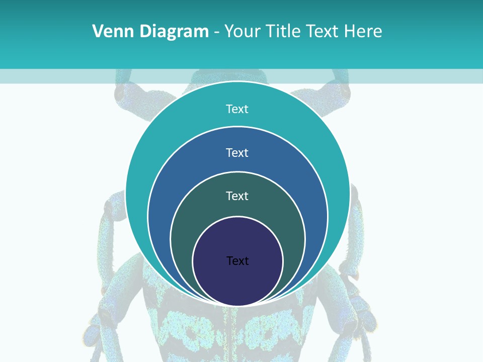 New Guinea Eupholus Schoenherri Cyan PowerPoint Template