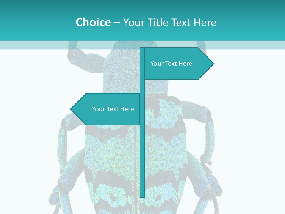 New Guinea Eupholus Schoenherri Cyan PowerPoint Template