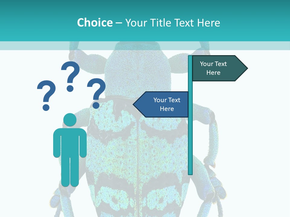 New Guinea Eupholus Schoenherri Cyan PowerPoint Template