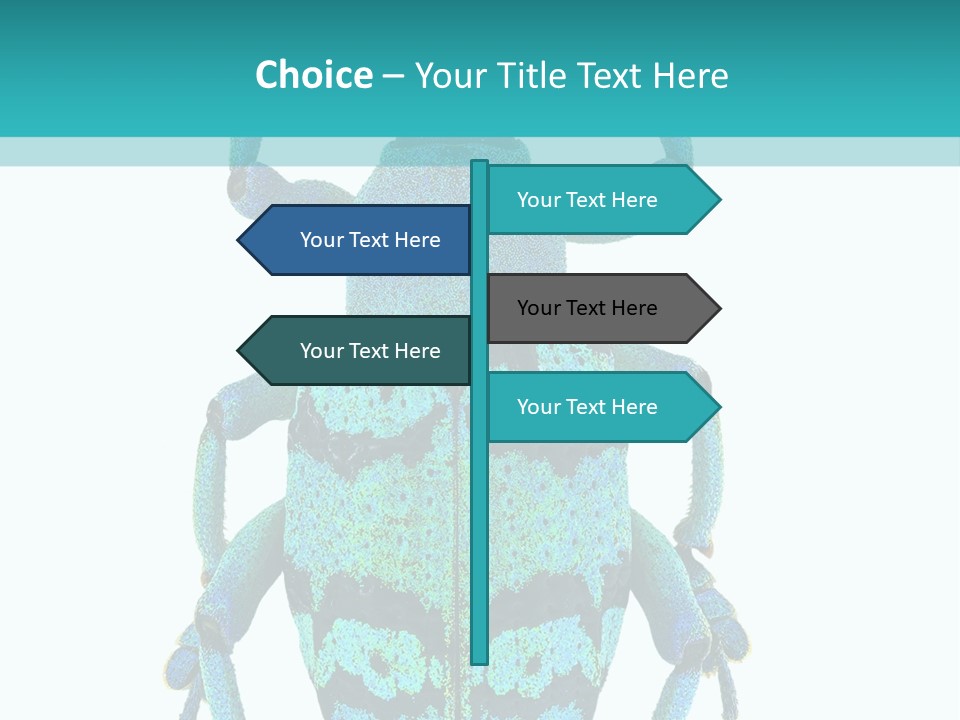 New Guinea Eupholus Schoenherri Cyan PowerPoint Template