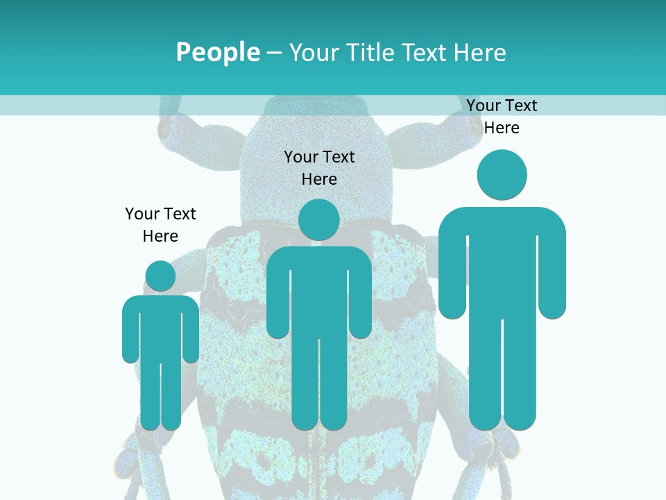 New Guinea Eupholus Schoenherri Cyan PowerPoint Template