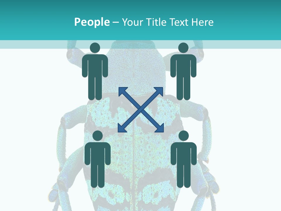 New Guinea Eupholus Schoenherri Cyan PowerPoint Template