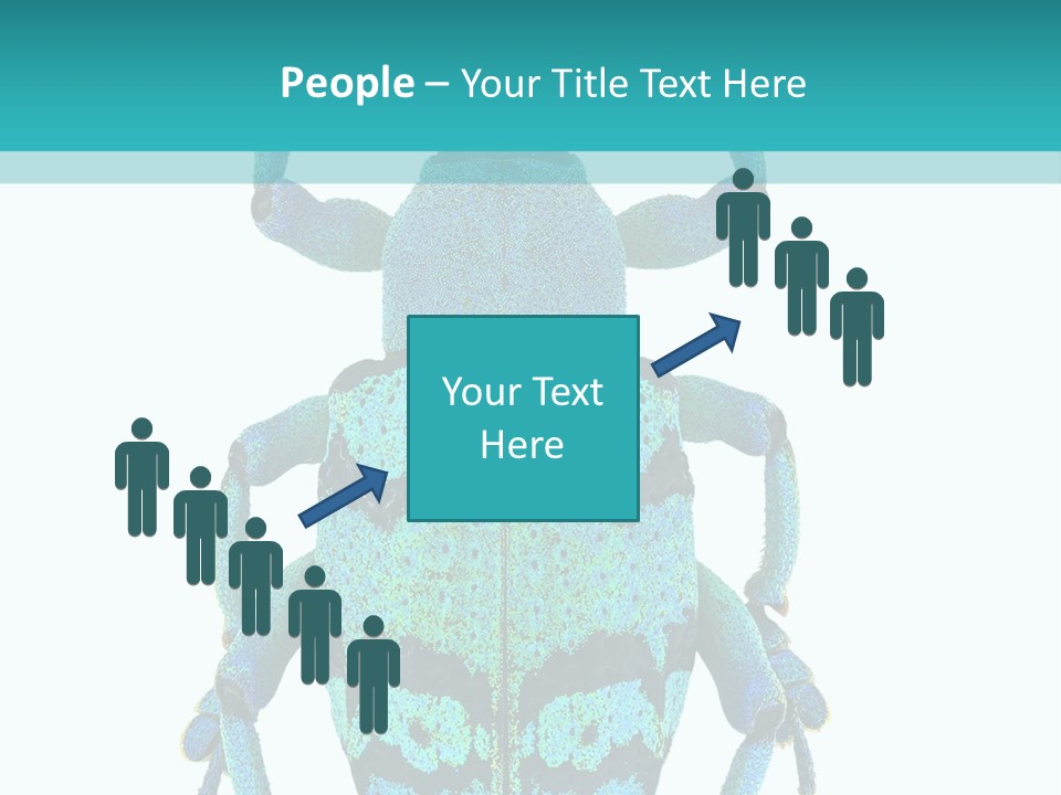 New Guinea Eupholus Schoenherri Cyan PowerPoint Template