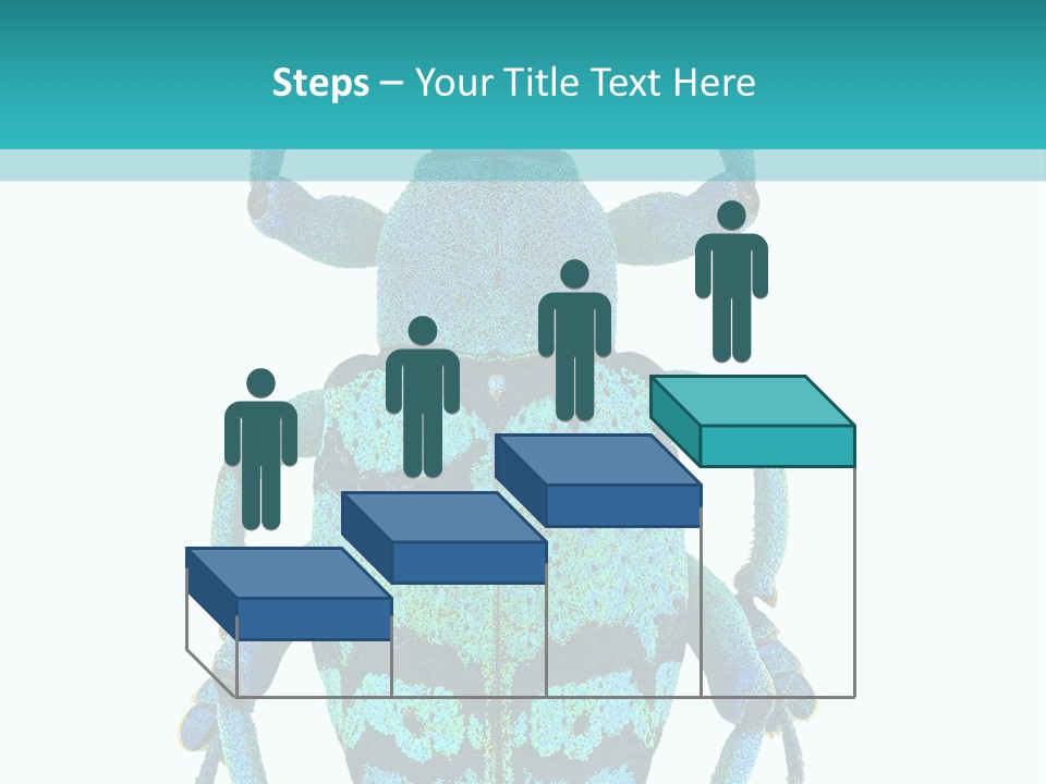 New Guinea Eupholus Schoenherri Cyan PowerPoint Template