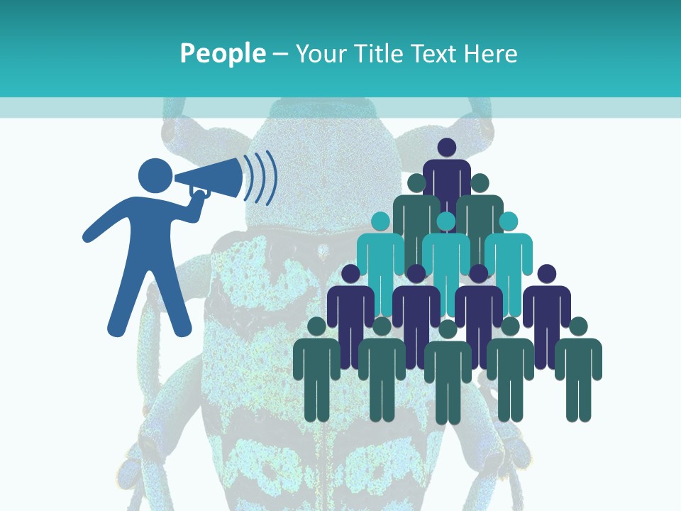 New Guinea Eupholus Schoenherri Cyan PowerPoint Template