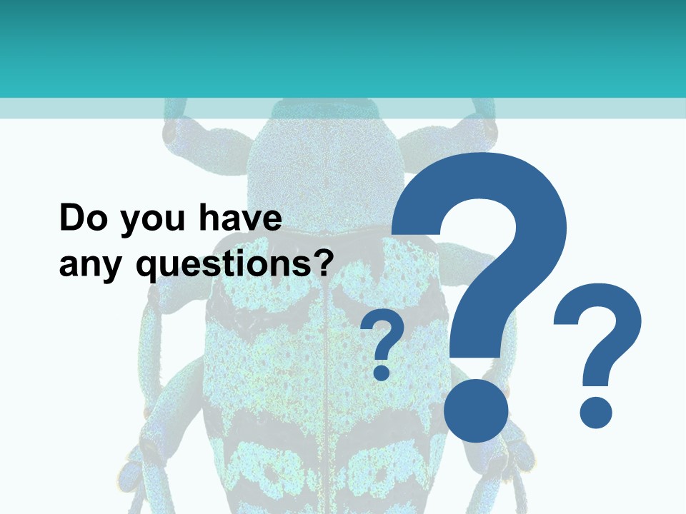 New Guinea Eupholus Schoenherri Cyan PowerPoint Template