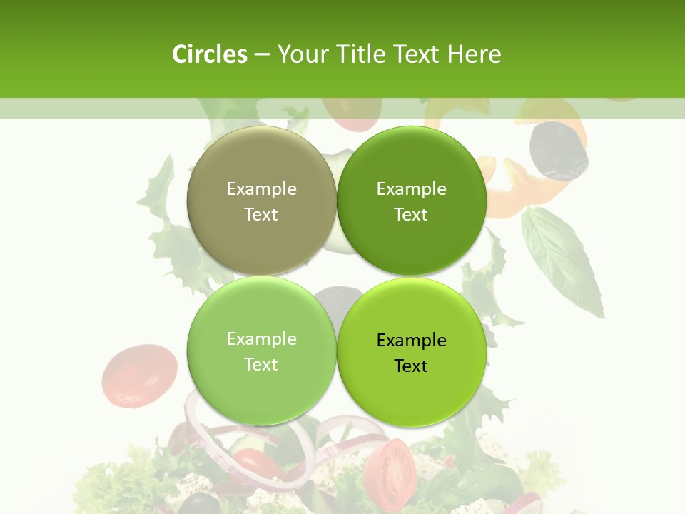 European Bowl Fly PowerPoint Template