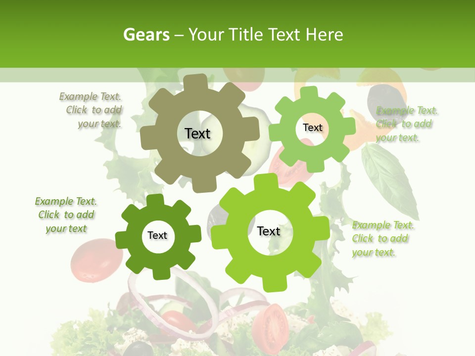 European Bowl Fly PowerPoint Template