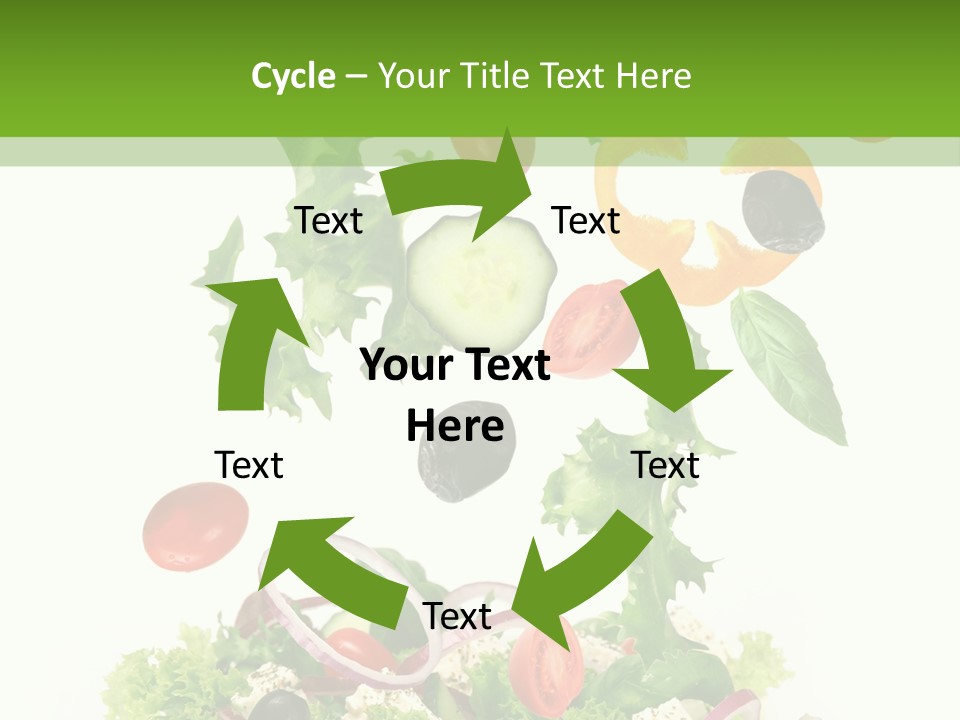 European Bowl Fly PowerPoint Template