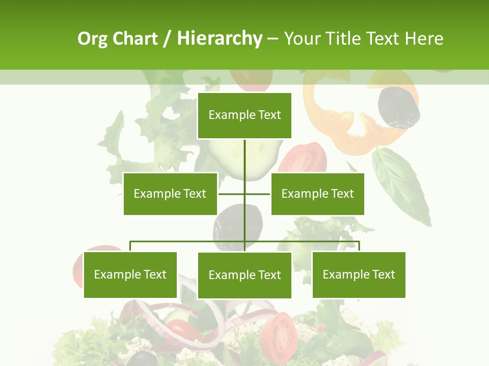 European Bowl Fly PowerPoint Template