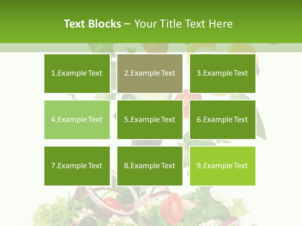 European Bowl Fly PowerPoint Template