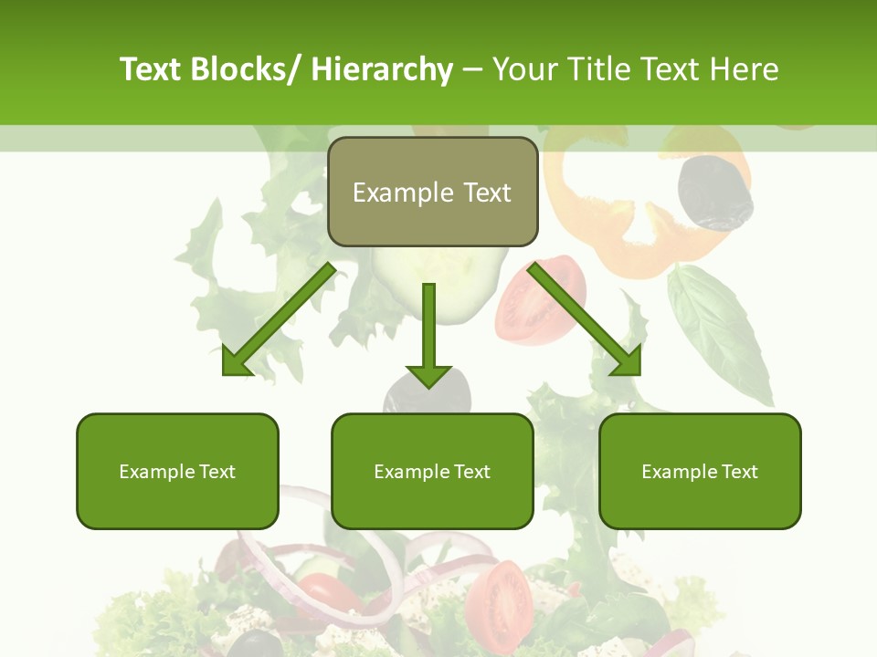 European Bowl Fly PowerPoint Template