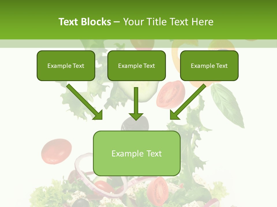 European Bowl Fly PowerPoint Template