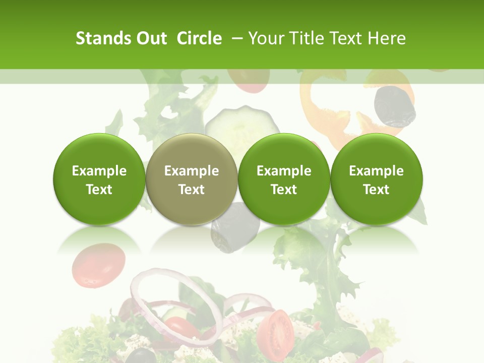 European Bowl Fly PowerPoint Template