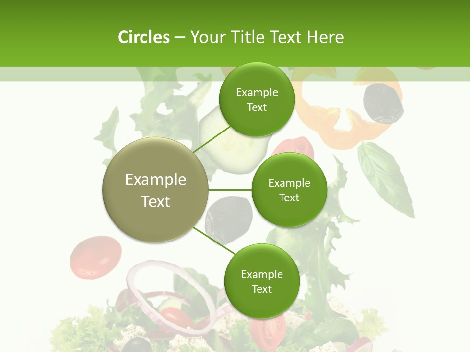 European Bowl Fly PowerPoint Template