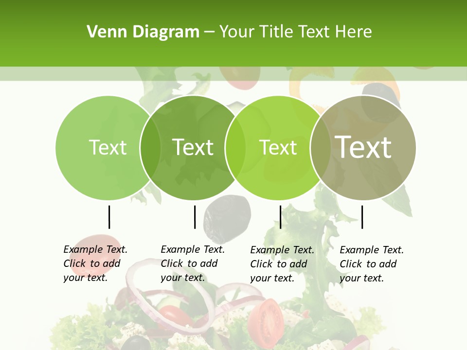 European Bowl Fly PowerPoint Template