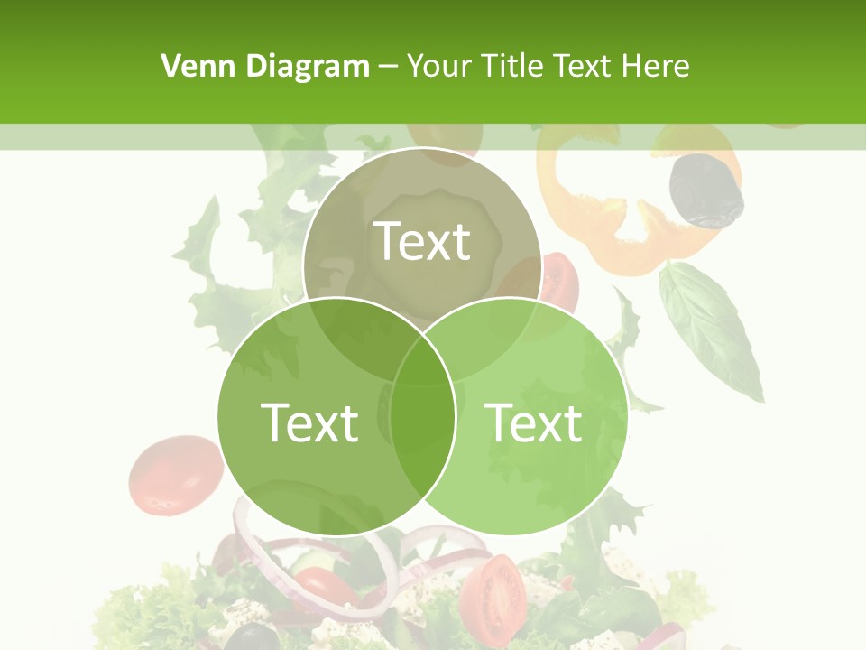 European Bowl Fly PowerPoint Template