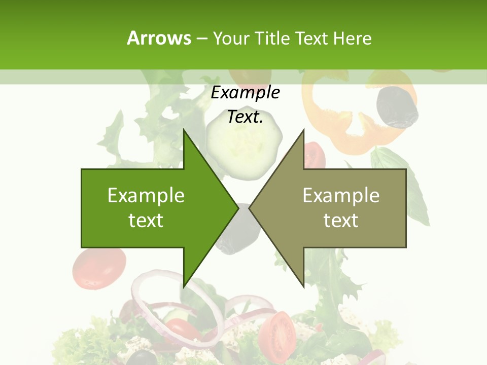 European Bowl Fly PowerPoint Template