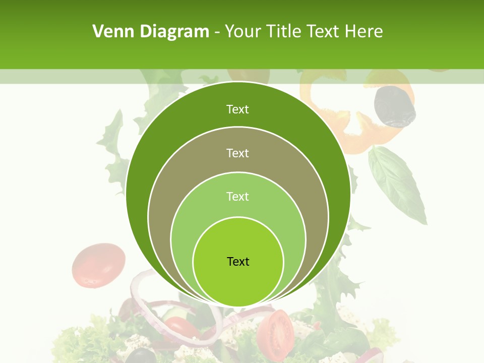 European Bowl Fly PowerPoint Template