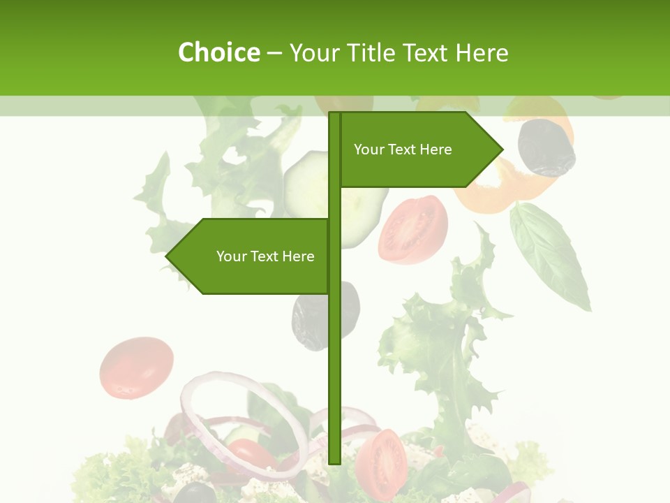 European Bowl Fly PowerPoint Template