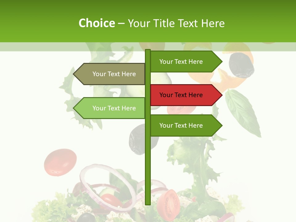 European Bowl Fly PowerPoint Template