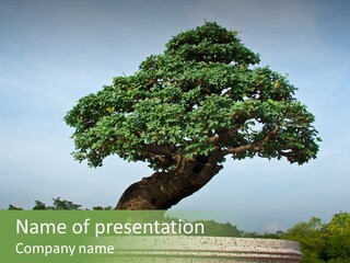 Green Outdoor Natural PowerPoint Template