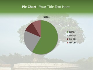 Green Outdoor Natural PowerPoint Template