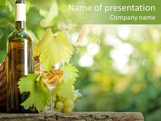 Concept Copy Space Vineyard PowerPoint Template