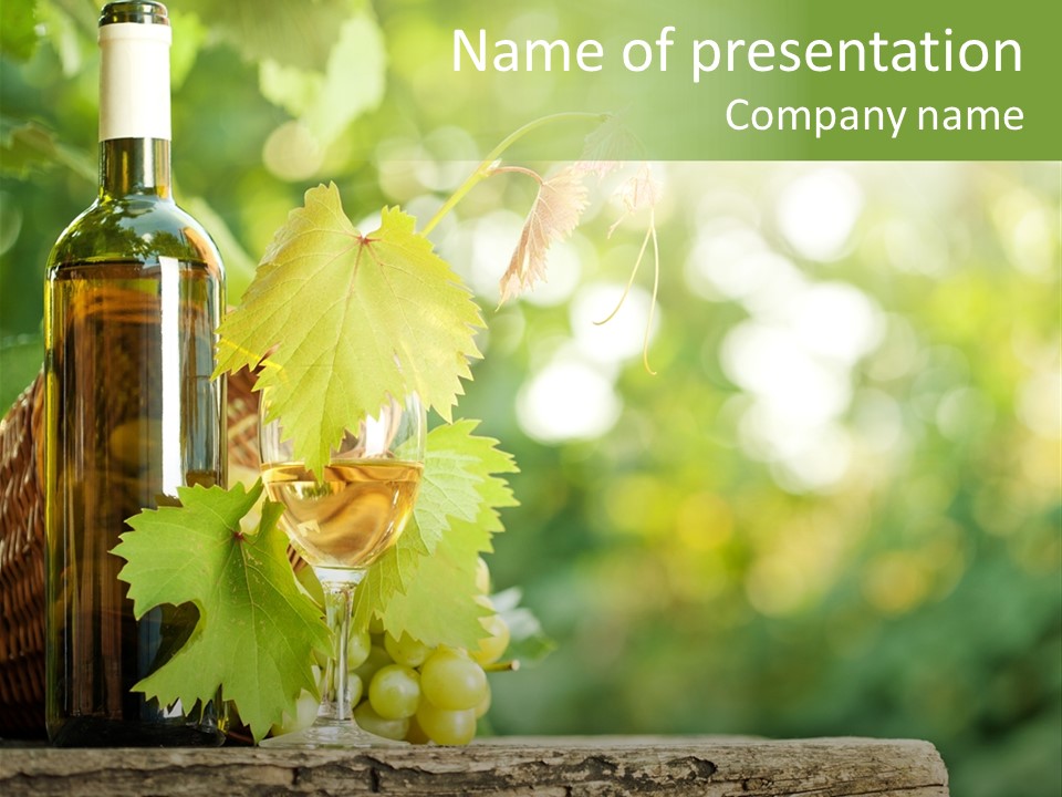 Concept Copy Space Vineyard PowerPoint Template