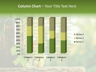 Concept Copy Space Vineyard PowerPoint Template