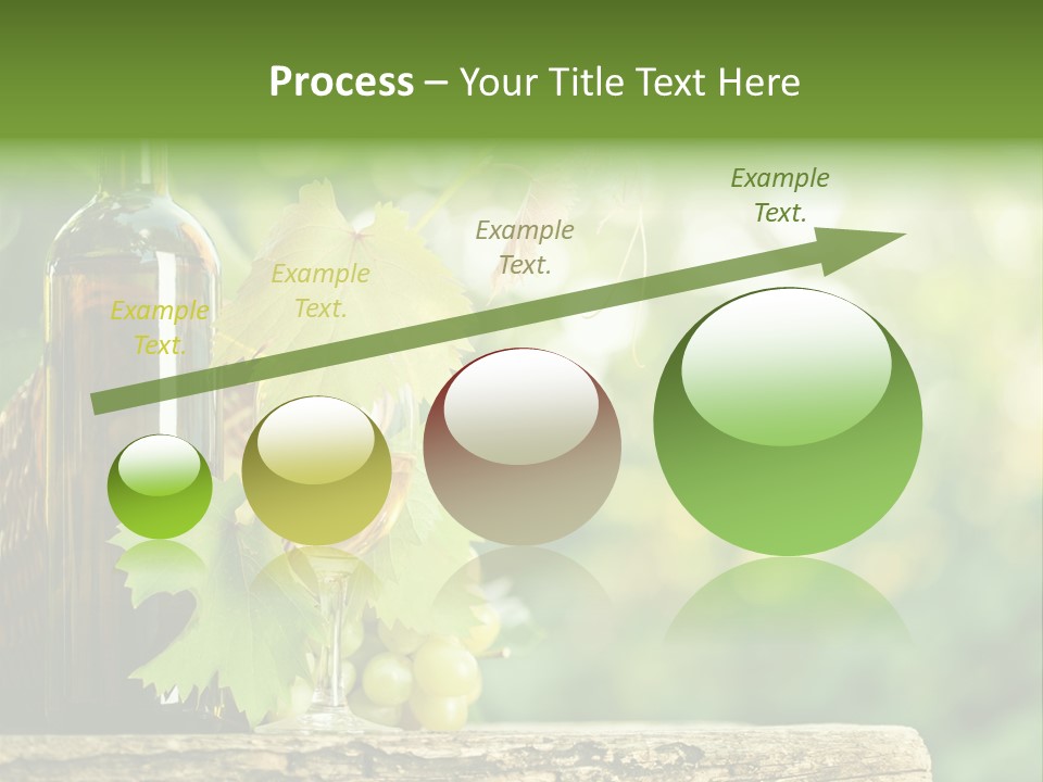 Concept Copy Space Vineyard PowerPoint Template
