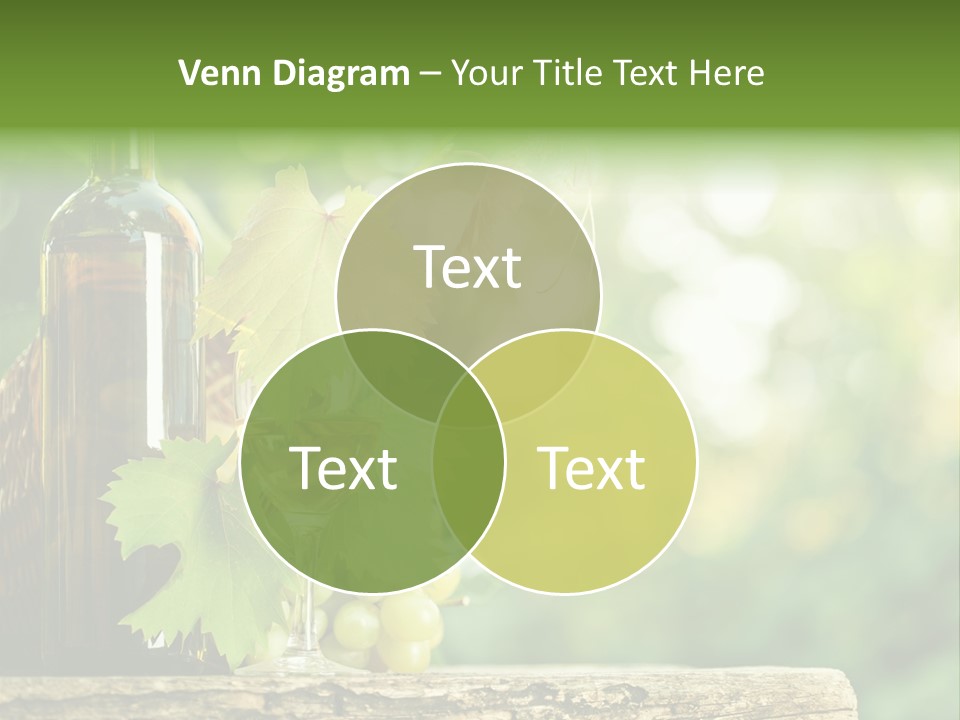 Concept Copy Space Vineyard PowerPoint Template