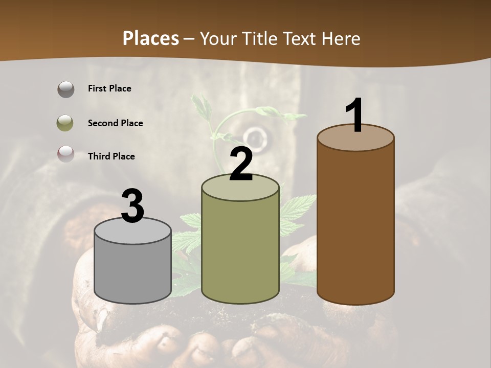Tree Small Old PowerPoint Template