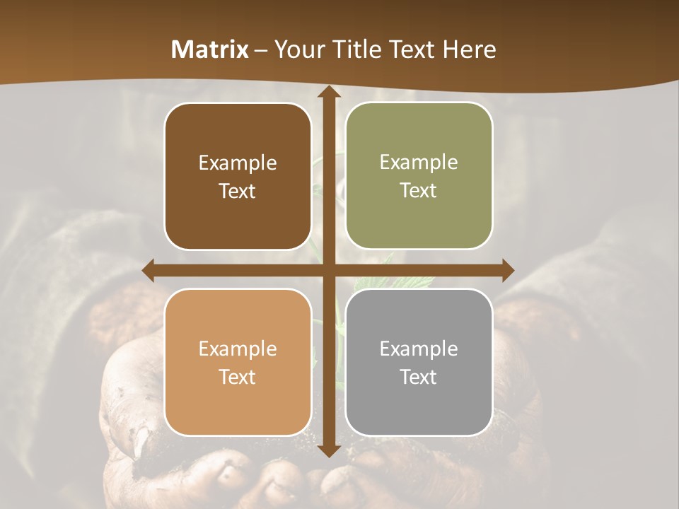 Tree Small Old PowerPoint Template