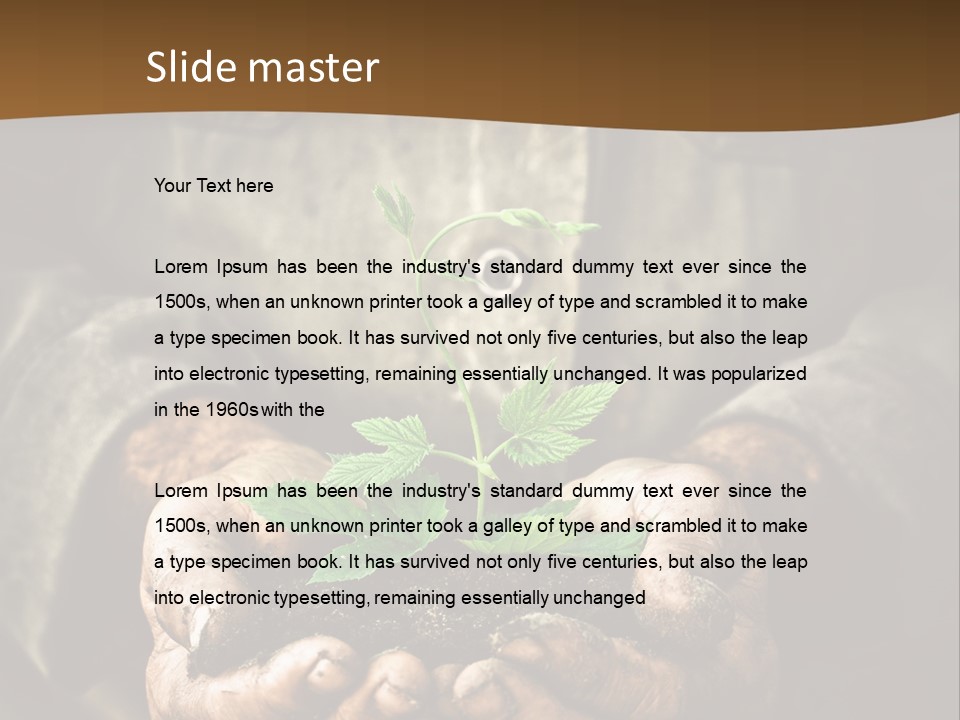 Tree Small Old PowerPoint Template