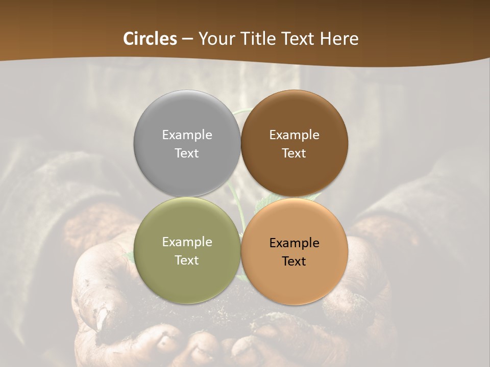 Tree Small Old PowerPoint Template