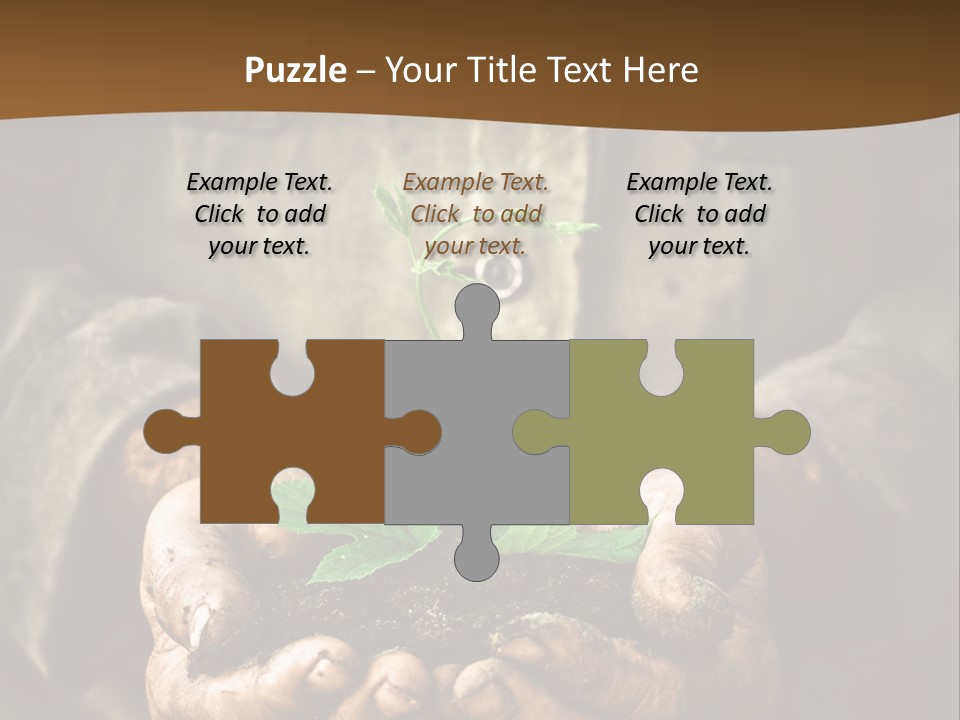 Tree Small Old PowerPoint Template