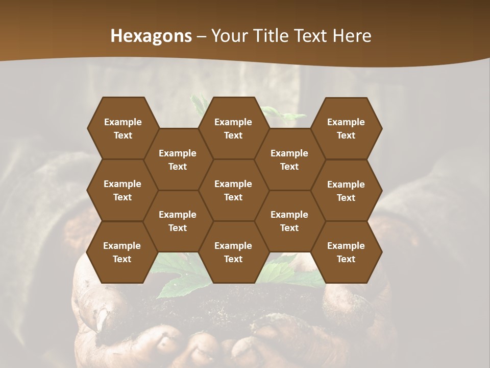 Tree Small Old PowerPoint Template