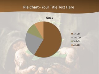 Tree Small Old PowerPoint Template