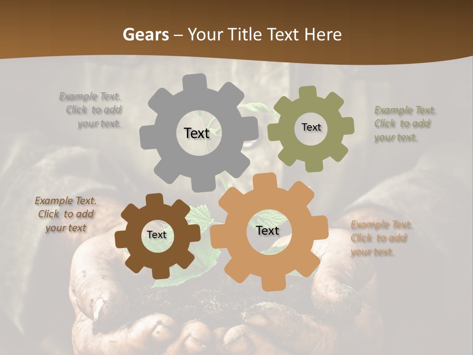 Tree Small Old PowerPoint Template