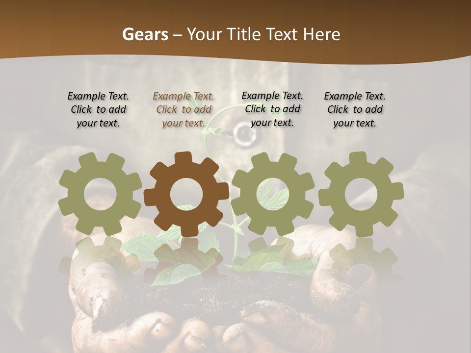 Tree Small Old PowerPoint Template