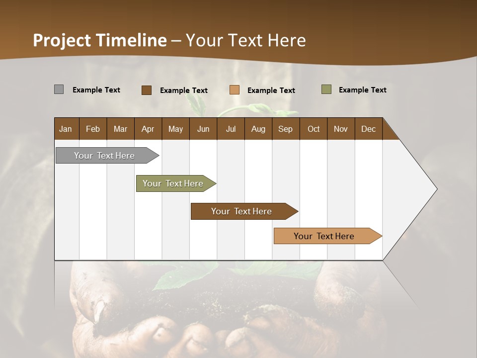 Tree Small Old PowerPoint Template