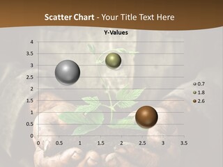 Tree Small Old PowerPoint Template